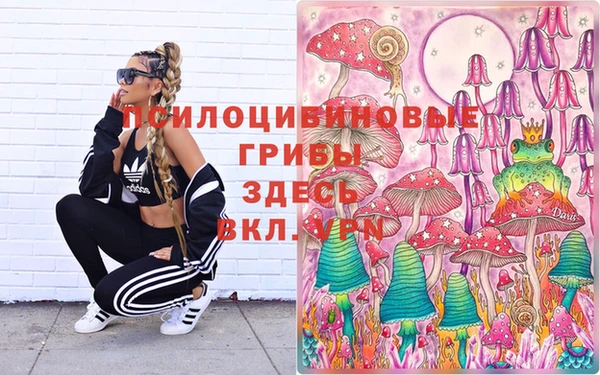 прущая мука Ельня