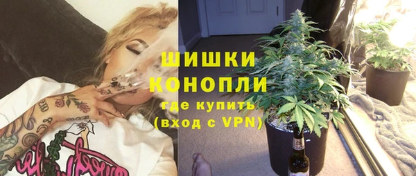прущая мука Ельня