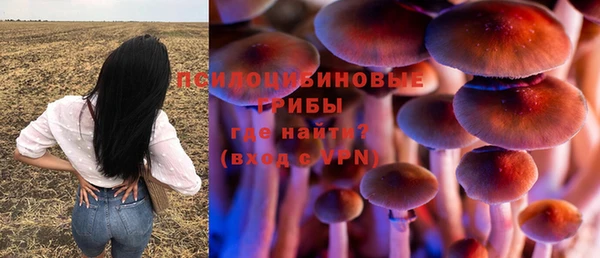 герыч Елабуга