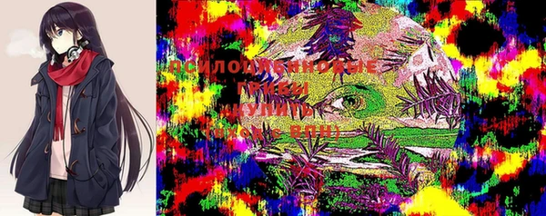 герыч Елабуга