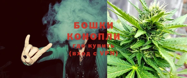прущая мука Ельня