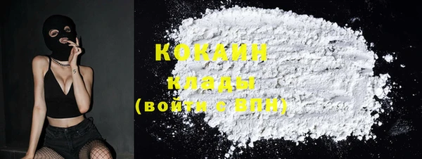 прущая мука Ельня