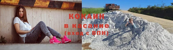 прущая мука Ельня
