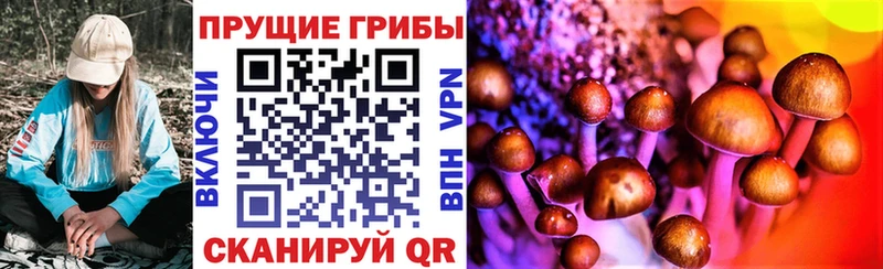 Псилоцибиновые грибы ЛСД blacksprut как зайти Гдов